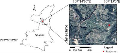 Contrasting patterns of community-weighted mean traits and functional diversity in driving grassland productivity changes under N and P addition